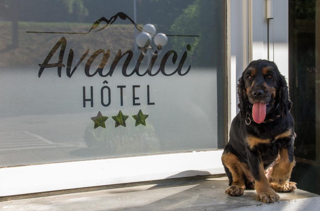Cit'Hotel Avantici גאפ מראה חיצוני תמונה